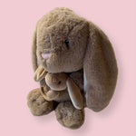 Load image into Gallery viewer, Bunny Plush with Rattle
