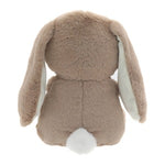Load image into Gallery viewer, Bunny Plush with Rattle
