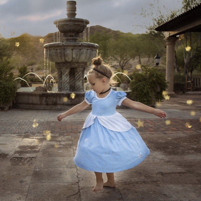 Cinderella Dress 10 Cinderella Dress 10