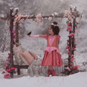 #Princess Aurora Dress Just For Littles 