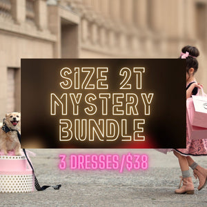 Size 2T Mystery Bundle Just For Littles®️ 
